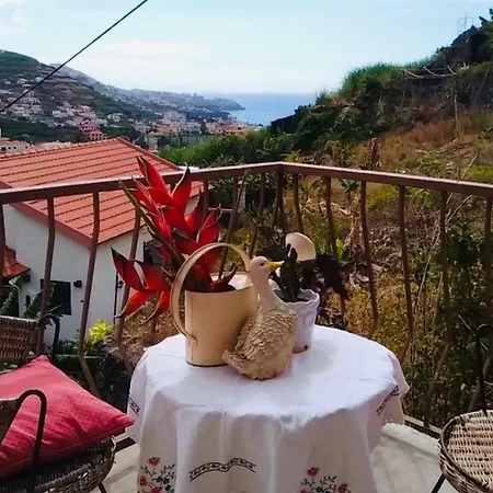 Madeira Holiday *